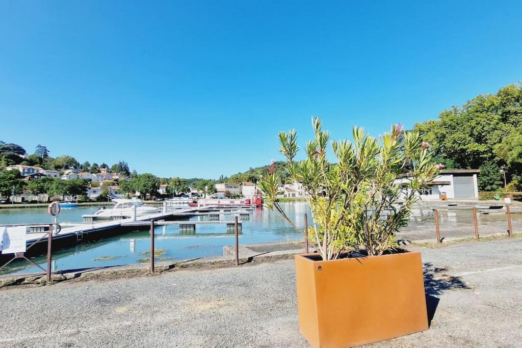 Maison, 4 A 6 Pers, Clim, Parking Prive, 2 * Agen